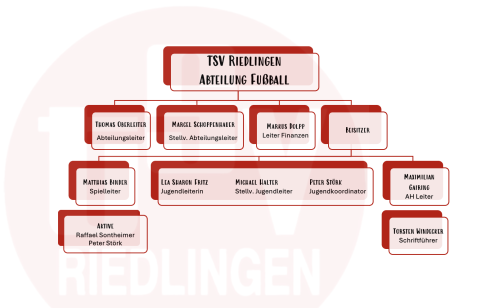 Vereinsorganigramm